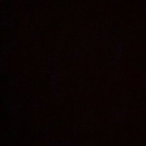 Meet your Posher, Isha